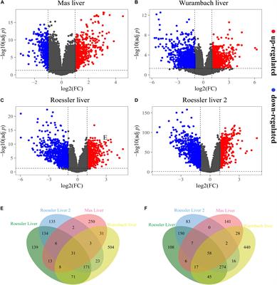 Integrated Bioinformatics Analysis Reveals Key Candidate Genes and Pathways Associated With Clinical Outcome in Hepatocellular Carcinoma